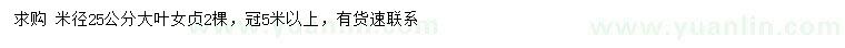 求購米徑25公分大葉女貞