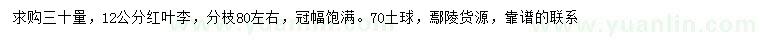 求購(gòu)30量12公分紅葉李