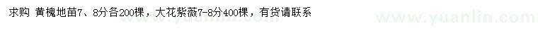 求購7-8公分黃槐、大花紫薇