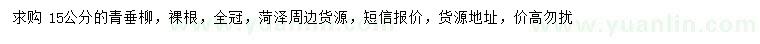 求購15公分青垂柳