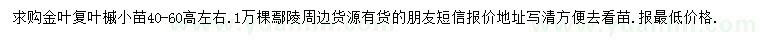 求購高40-60公分金葉復葉槭