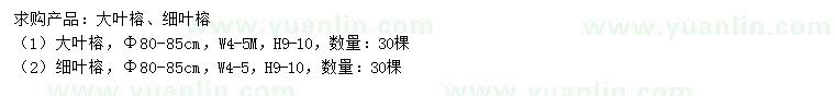 求購80-85公分大葉榕、細葉榕