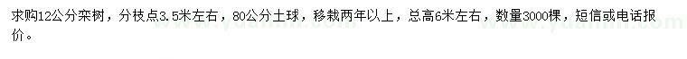 求購12公分欒樹(shù)