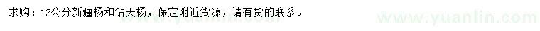 求購13公分新疆楊、鉆天楊