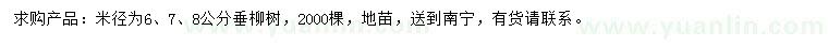 求購米徑6、7、8公分垂柳
