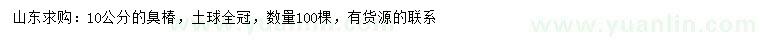 求購(gòu)10公分臭椿