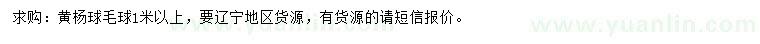 求購1米以上黃楊球毛球