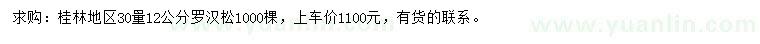 求購30量12公分羅漢松