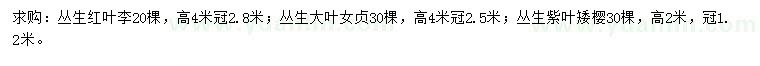 求購叢生紅葉李、叢生大葉女貞、叢生紫葉矮櫻