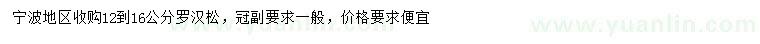 求購12-15公分羅漢松