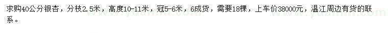求購40公分銀杏