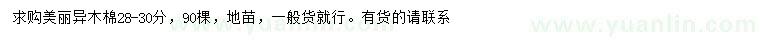 求購28-30公分美麗異木棉