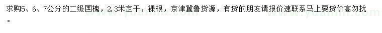 求購5、6、7公分國槐