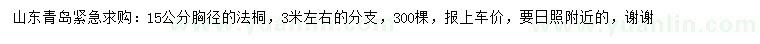 求購胸徑15公分法桐