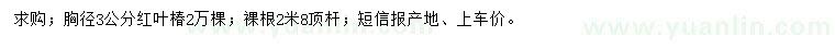 求購胸徑3公分紅葉椿