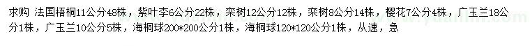 求購法國梧桐、紫葉李、欒樹等