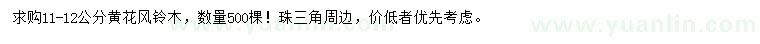 求購11-12公分黃花風(fēng)鈴木