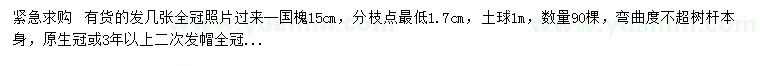 求購15公分國槐