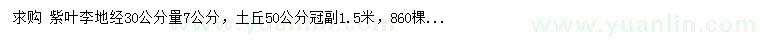 求購30公分量7公分紫葉李