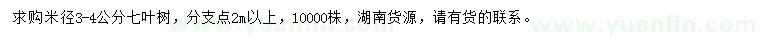 求購米徑3-4公分七葉樹