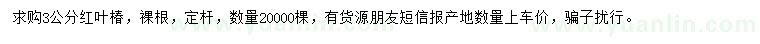 求購3公分紅葉椿