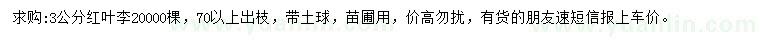 求購(gòu)3公分紅葉李