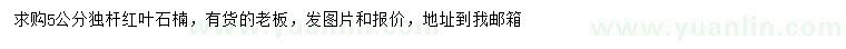 求購(gòu)5公分獨(dú)桿紅葉石楠