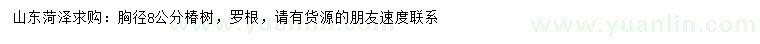 求購胸徑8公分椿樹