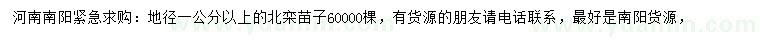 求購地徑1公分以上北欒