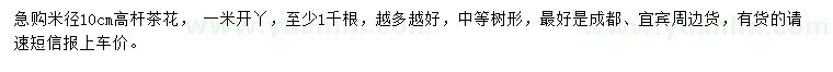 求購米徑10公分茶花