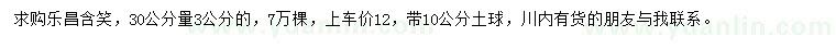 求購30公分量3公分樂昌含笑