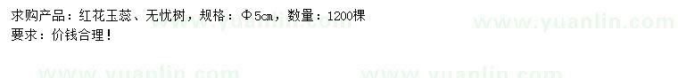 求購5公分紅花玉蕊、無(wú)憂(yōu)樹(shù)