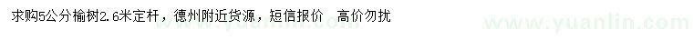 求購5公分榆樹