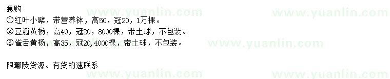 求購(gòu)紅葉小檗、豆瓣黃楊、雀舌黃楊