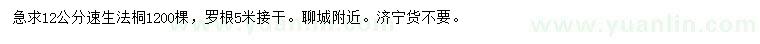求購12公分速生法桐