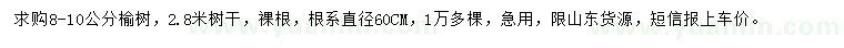 求購8-10公分榆樹