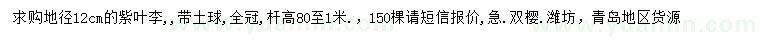 求購地徑12公分紫葉李