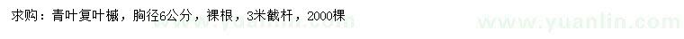 求購(gòu)胸徑6公分青葉復(fù)葉槭