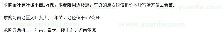 求購金葉復(fù)葉槭、大葉女貞、五角楓