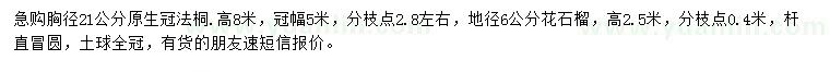 求購胸徑21公分法桐、地徑6公分花石榴