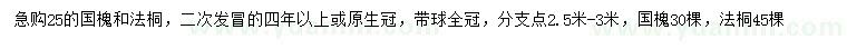求購25公分國槐、法桐