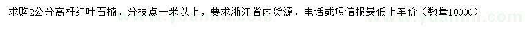 求購(gòu)2公分高桿紅葉石楠