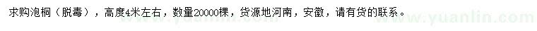 求購高度4米左右泡桐