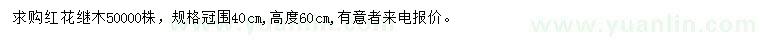 求購(gòu)高60公分紅花繼木