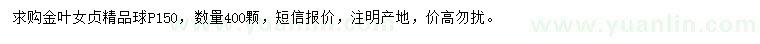求購冠1.5米金葉女貞精品球