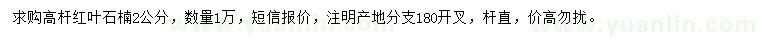 求購2公分高桿紅葉石楠