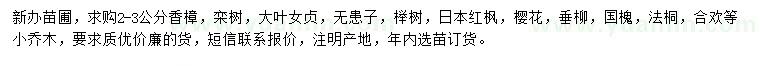 求購香樟、欒樹、大葉女貞等小苗