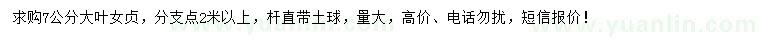 求購7公分大葉女貞