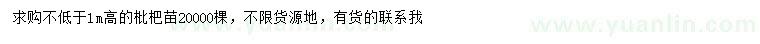 求購高1米枇杷苗