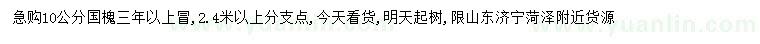 求購10公分國槐